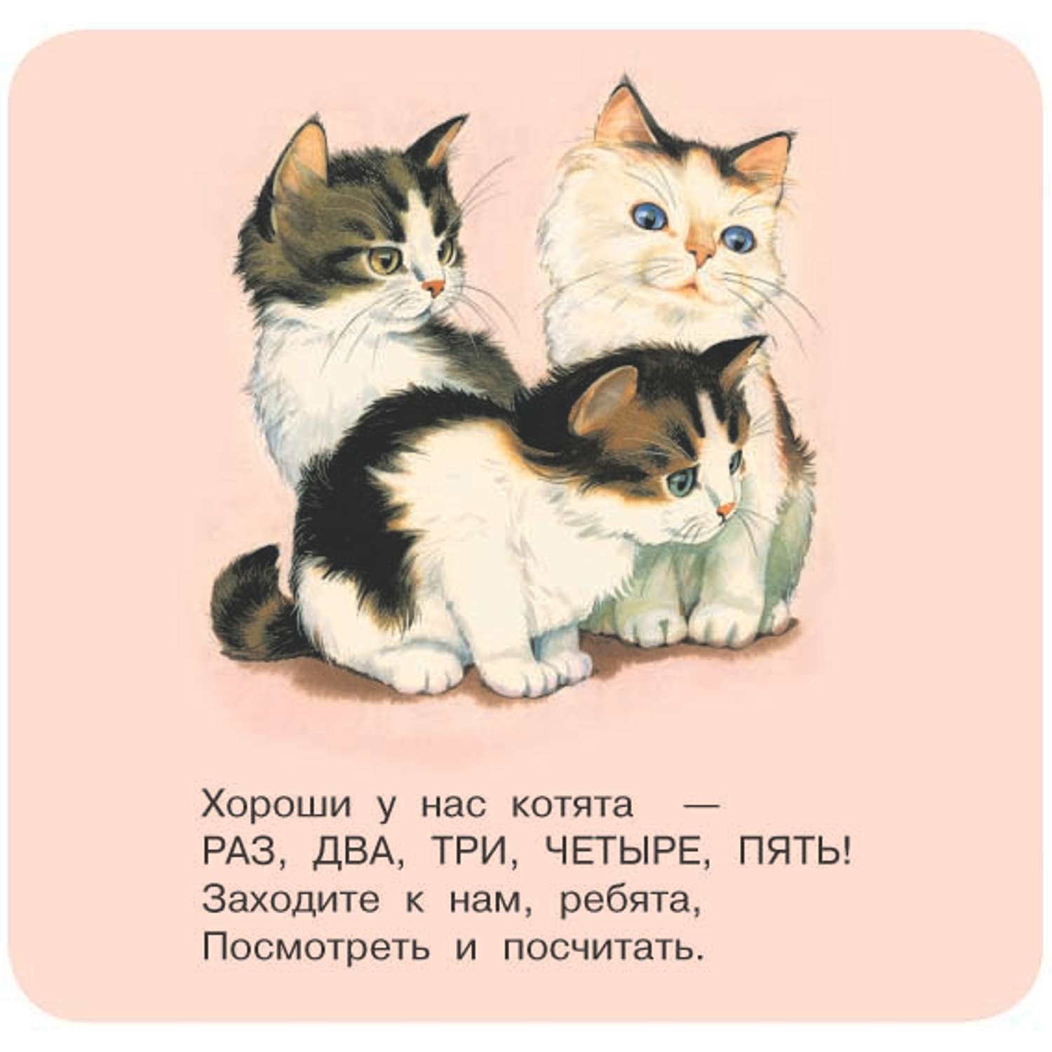 Книга АСТ Котята - фото 6