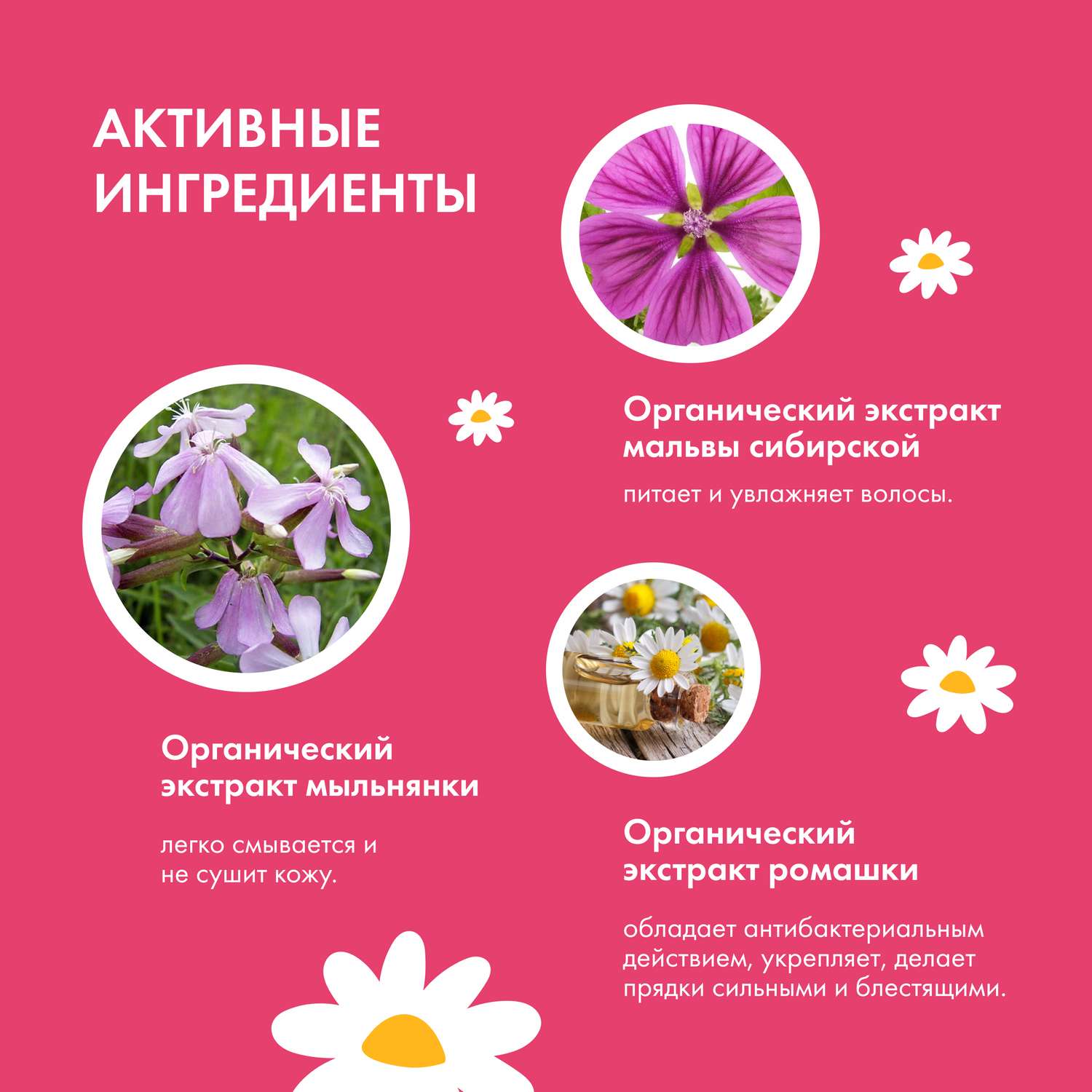 Шампунь Siberica Биберика - фото 6