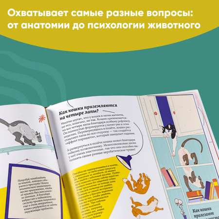 Книга Альпина. Дети Секреты кошек