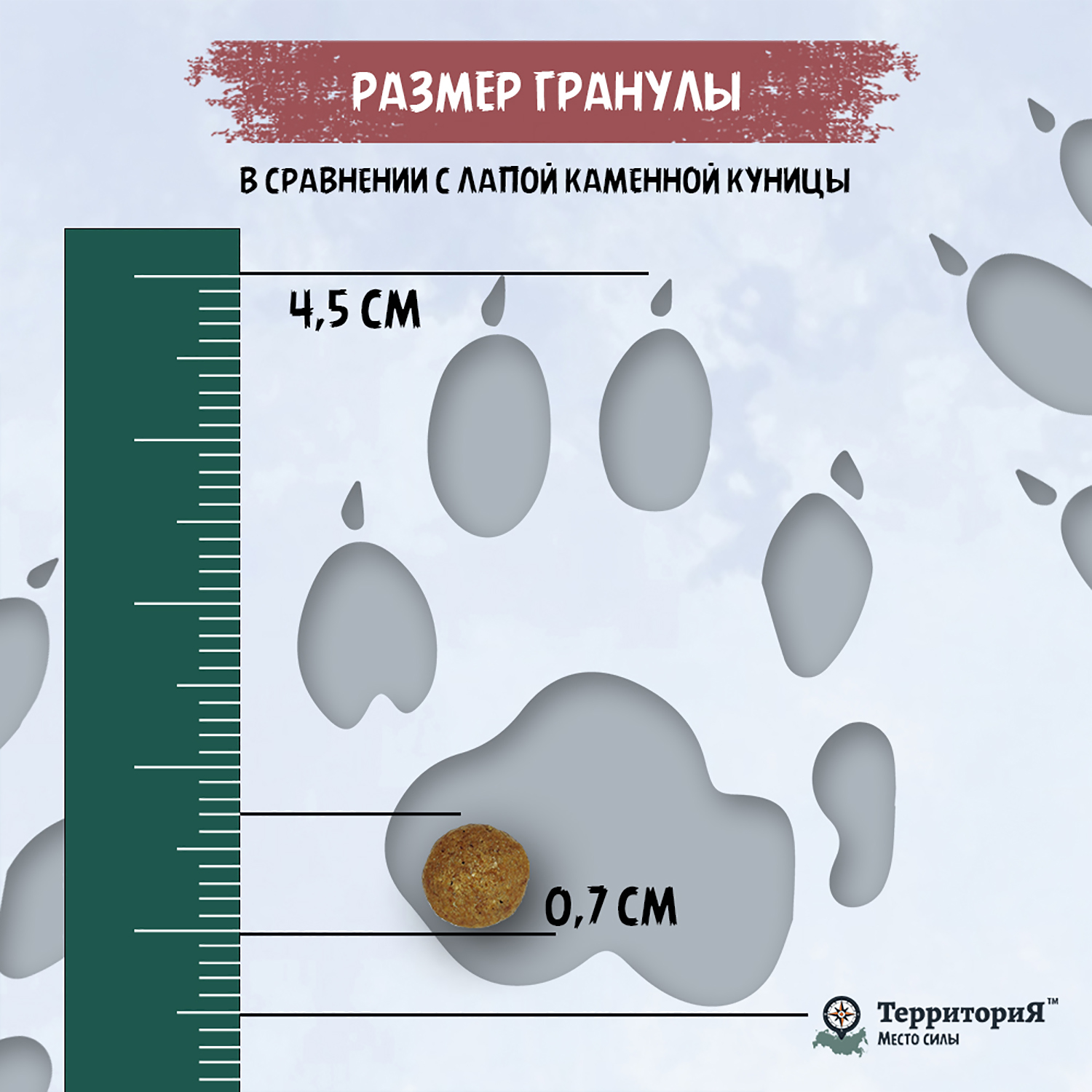 Корм для взрослых кошек Территория Крым 0.350кг курица-черника сухой - фото 8