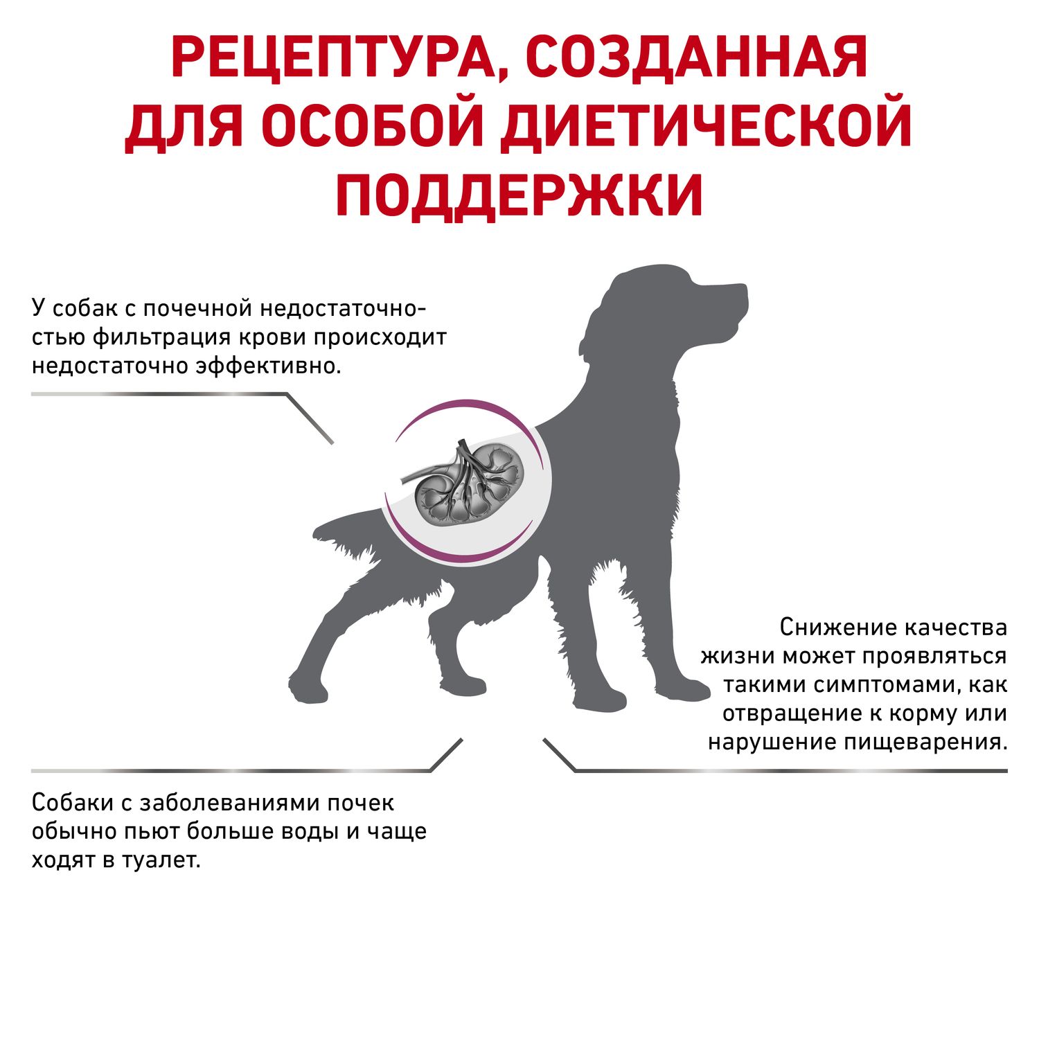 Корм для собак ROYAL CANIN Renal при почечной недостаточности 14кг купить  по цене 13892 ₽ с доставкой в Москве и России, отзывы, фото