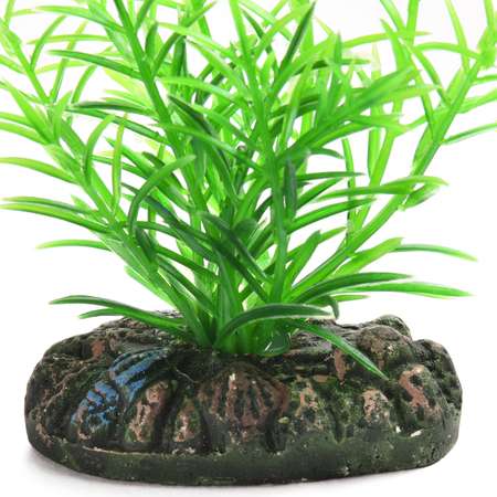 Растение аквариумное FAUNA Foxtail с грузом Зеленое FIPP-0106