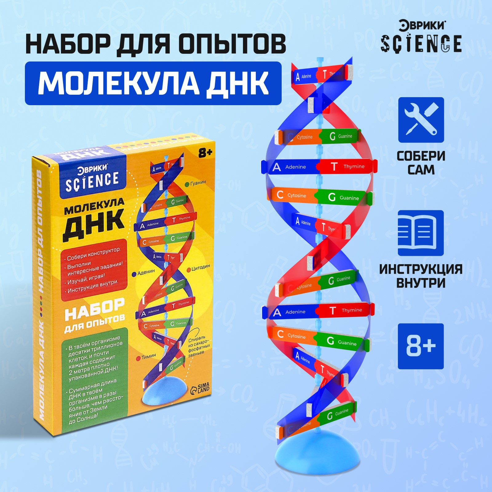 Набор Эврики Для опытов «Молекула ДНК» - фото 2