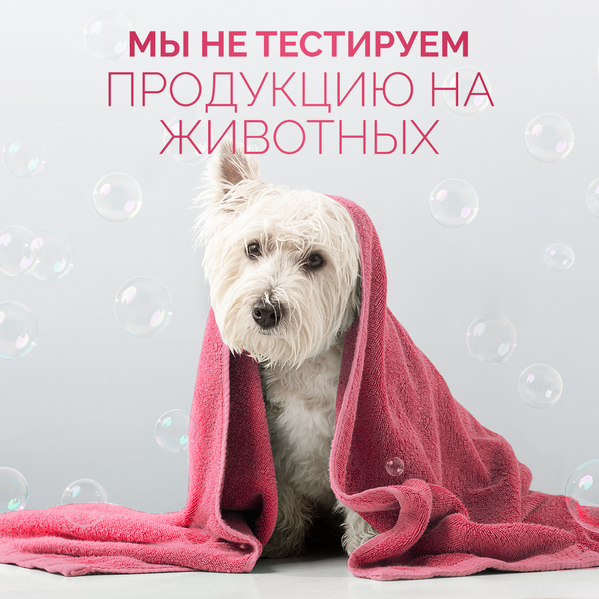 Гель для душа NICE by Septivit Cherry Berry 1л - фото 10