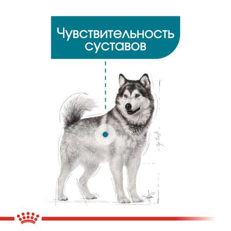 Сухой корм для собак ROYAL CANIN 3 кг (лечебный)