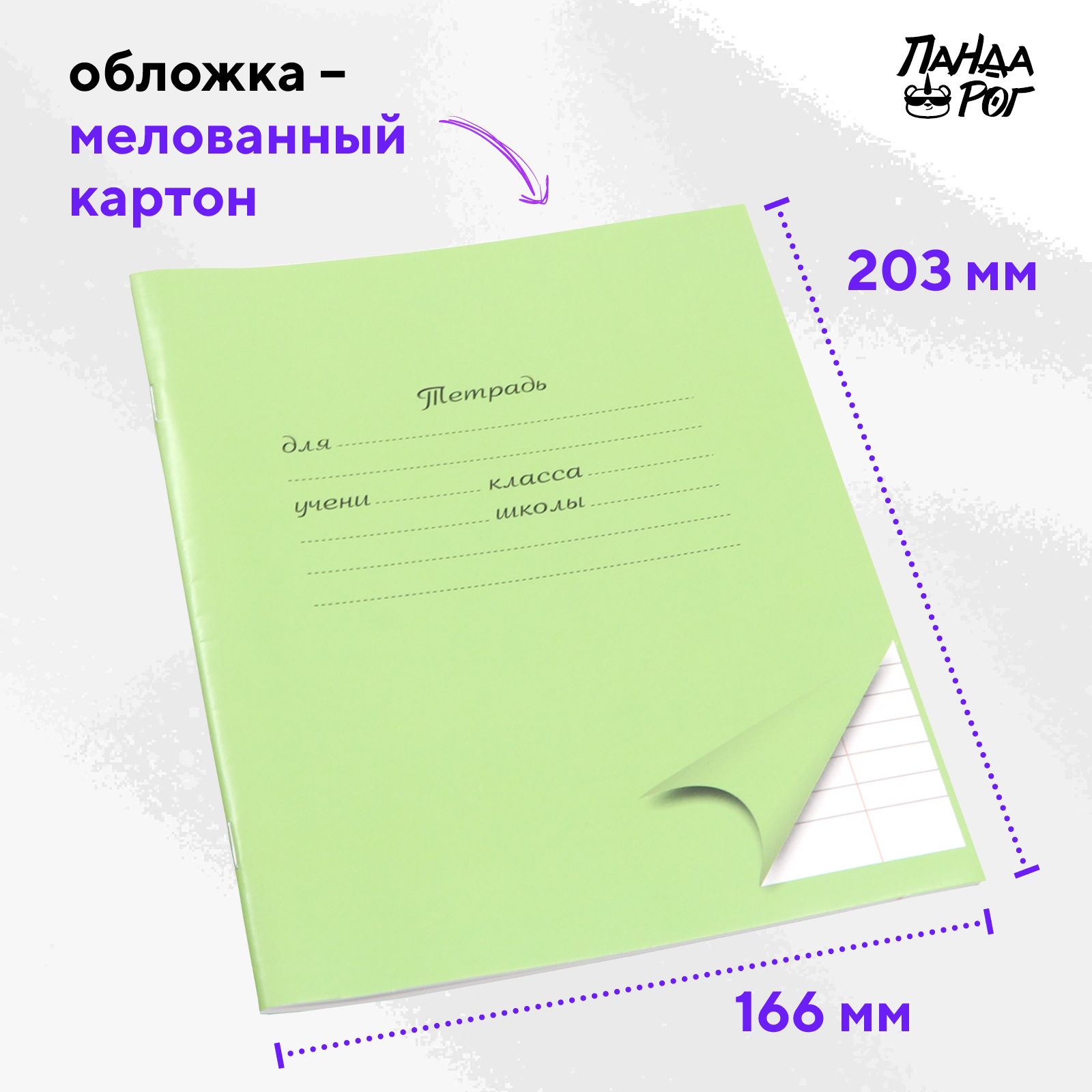 Тетради школьные в линейку ПАНДАРОГ широкую 18 л набор 10 шт картонная обложка зеленые - фото 5