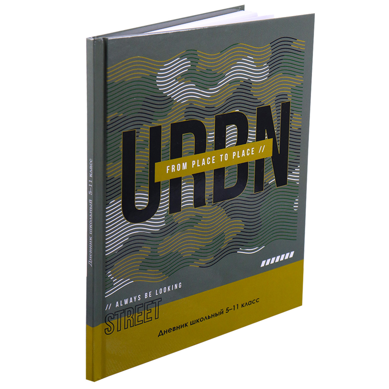 Дневник школьный Prof-Press 48 листов Городской камуфляж - фото 1