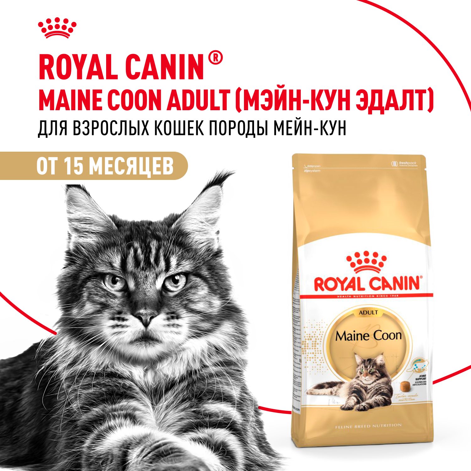 Корм сухой для кошек ROYAL CANIN Maine Coon 2кг породы мейн-кун - фото 1