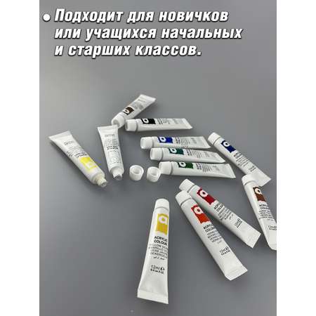 Набор акриловых красок Color Kit 12 цветов по 12 мл