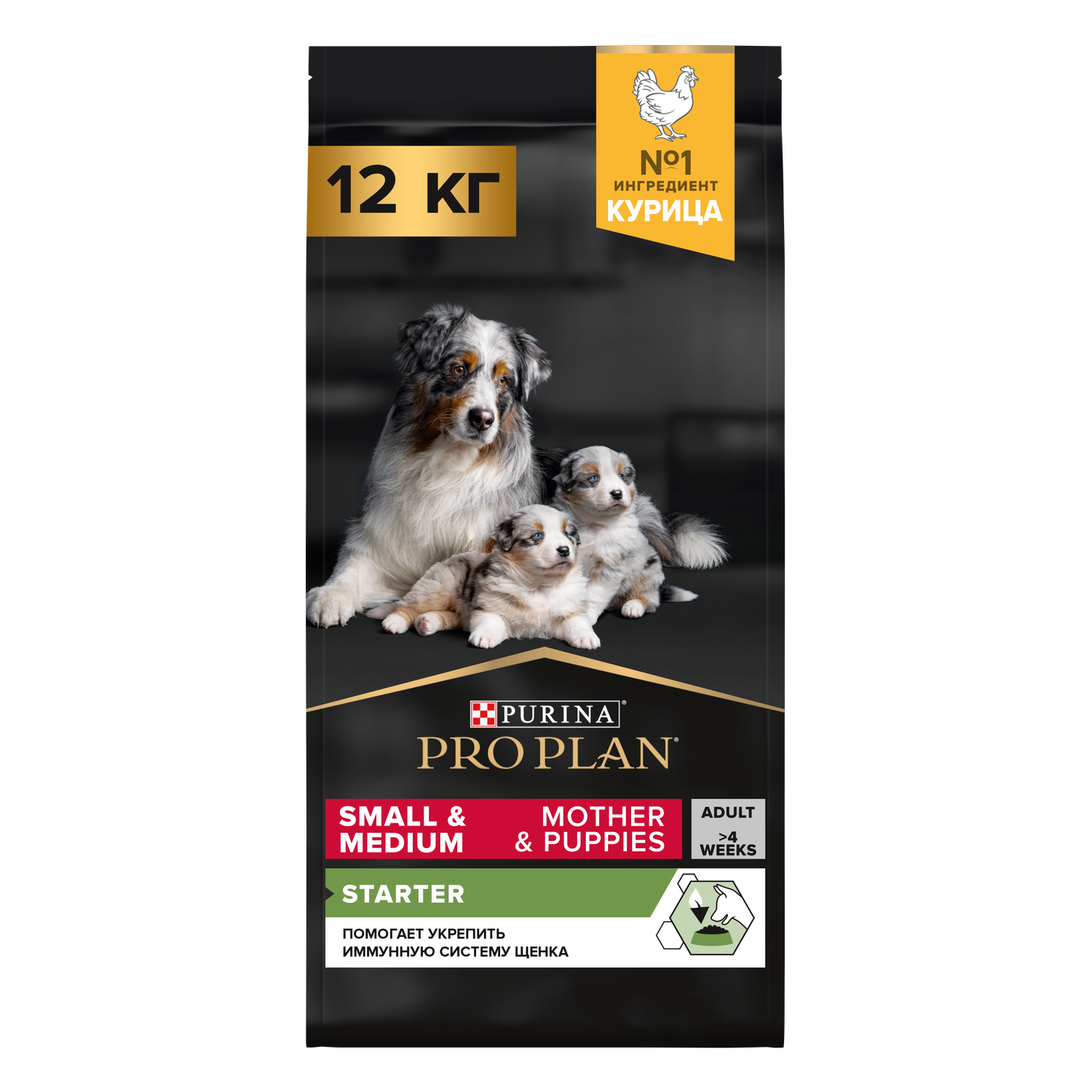 Purina pro plan 2024 puppy near me