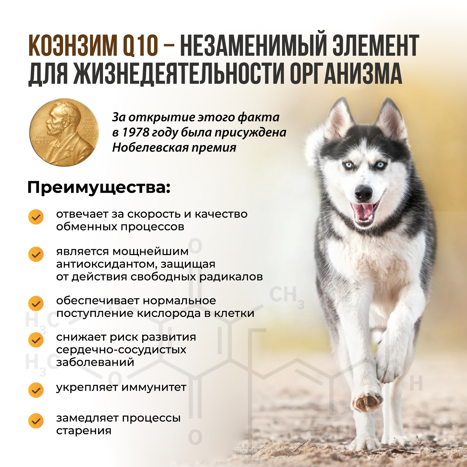 Витамины для собак Unitabs SlimComplex с Q10 100таблеток - фото 9