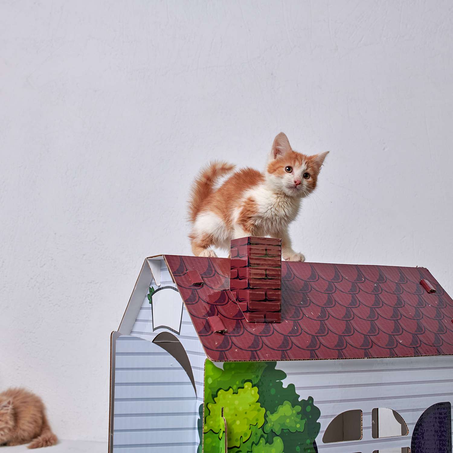 Домик MASKBRO улучшенный картонный для кошек и собак с когтеточкой матовый - фото 5