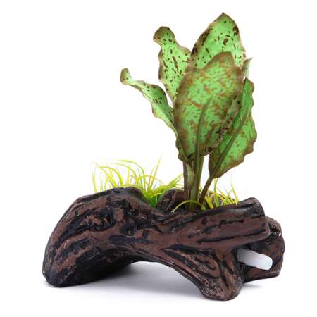 Распылитель PennPlax Растение на бревне Зеленый декоративный PS114