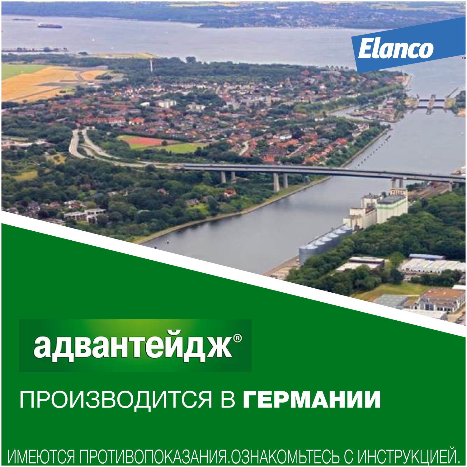 Препарат инсектоакарицидный для кошек Elanco Адвантейдж 0.8мл 4пипетки - фото 10