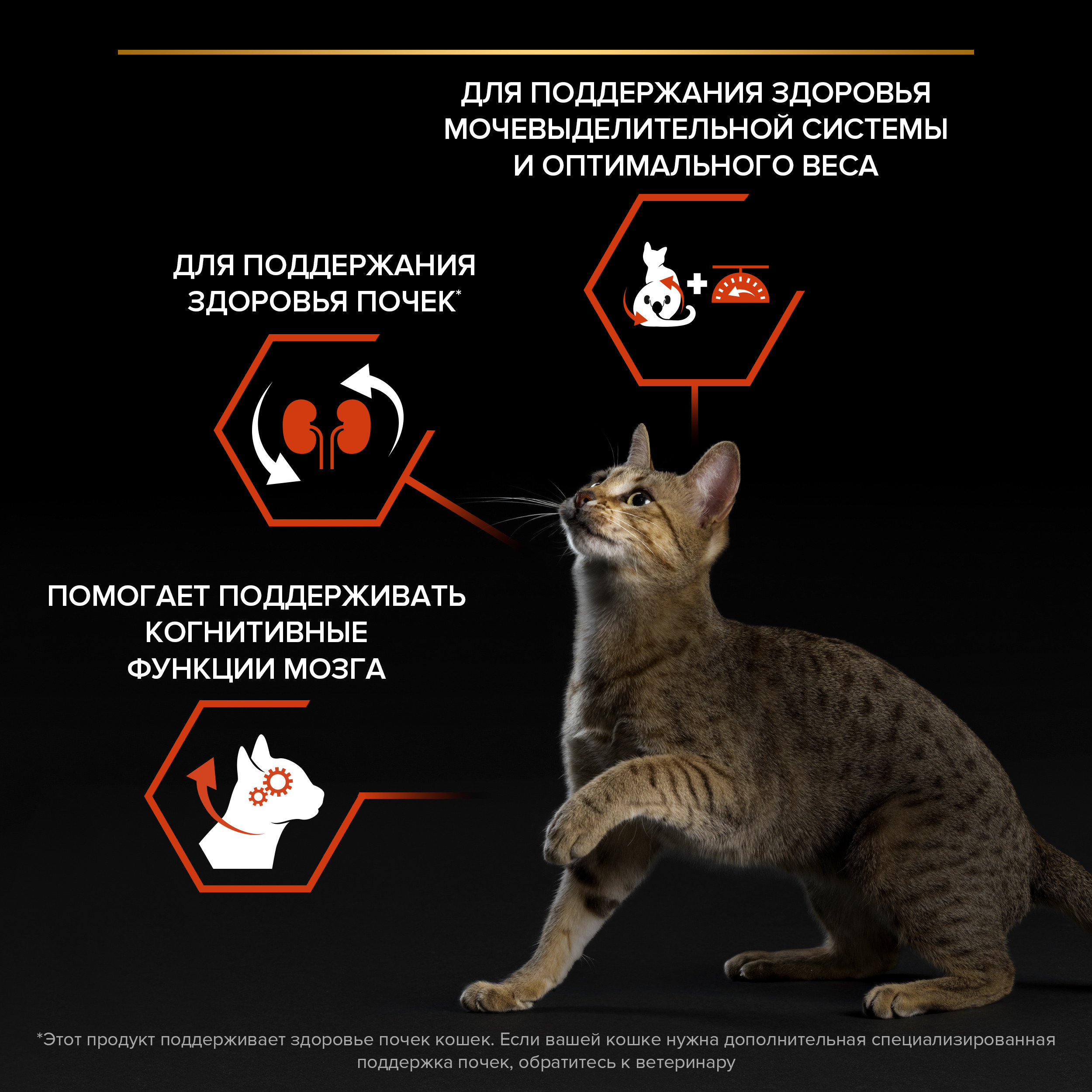 Корм сухой для кошек PRO PLAN 1.5кг с лососем при стерилизации и кастрации для поддержания органов чувств - фото 5