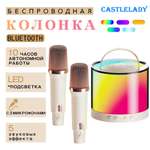 Колонка и 2 микрофона караоке CASTLELADY портативная беспроводная бежевый