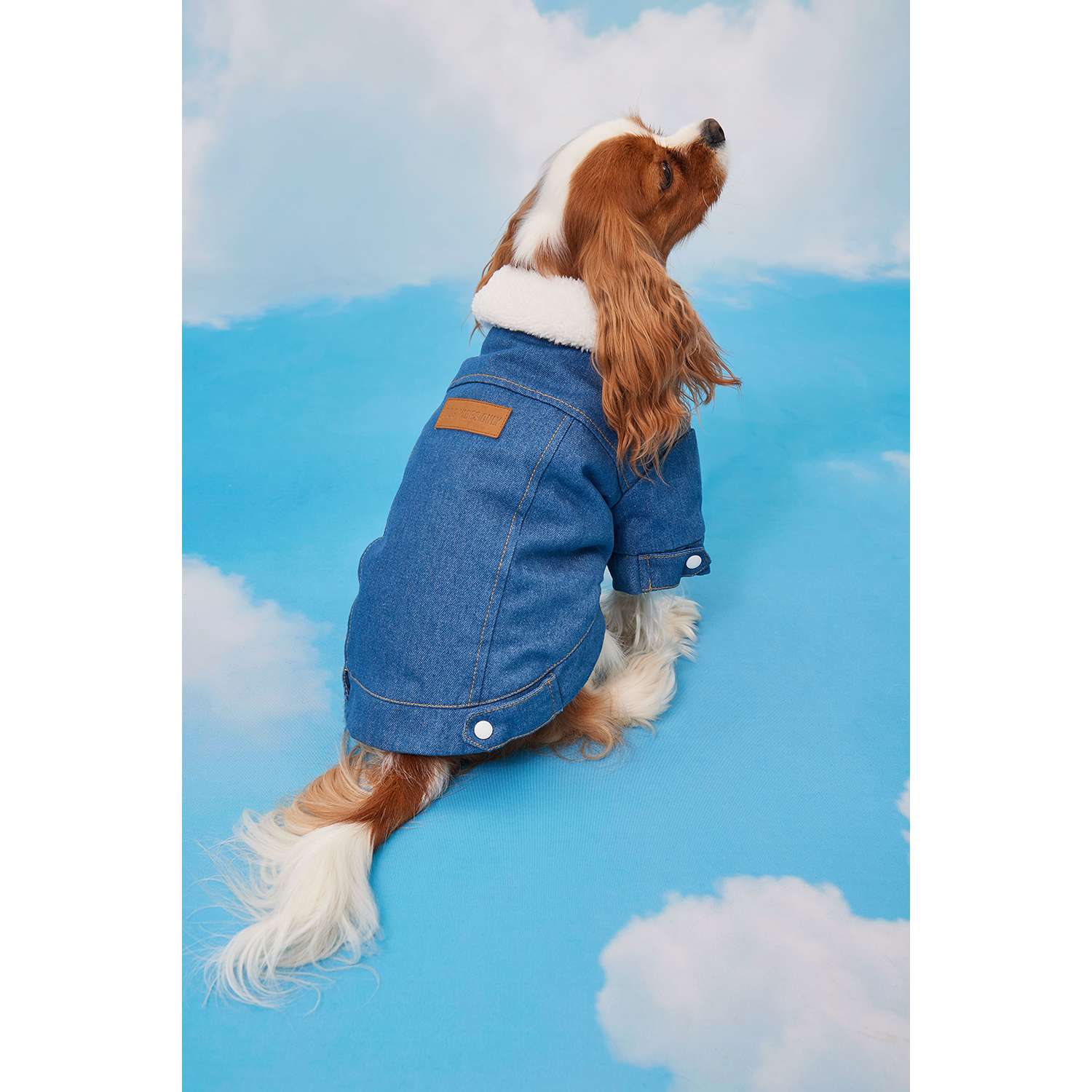Куртка для собак Zoozavr синий 25 - фото 11