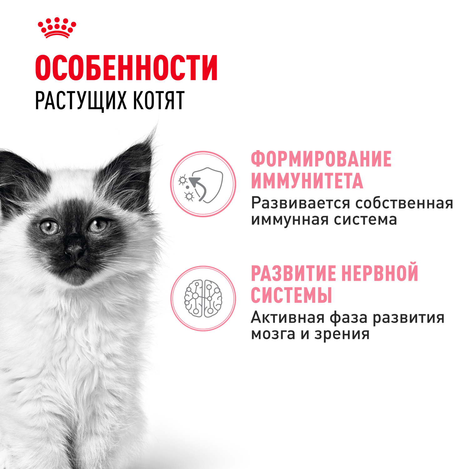 Влажный корм для кошек ROYAL CANIN Kitten 0.085 кг (полнорационный) - фото 3