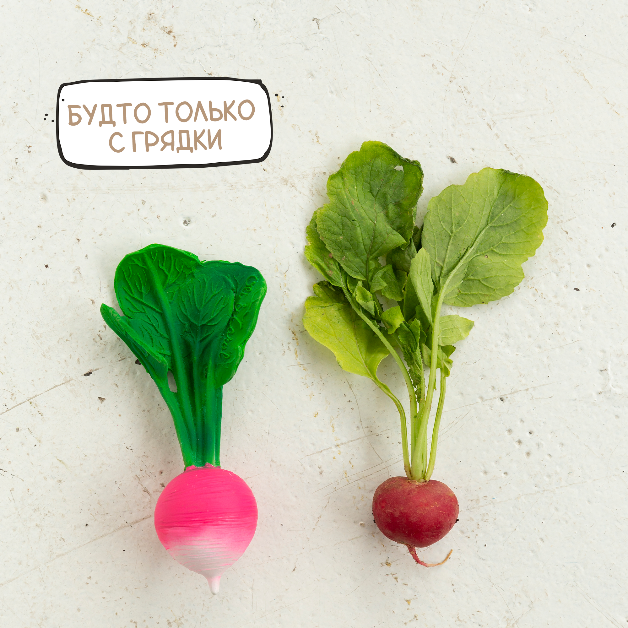 Прорезыватель грызунок OLI and CAROL Ramona The Radish из натурального каучука - фото 5