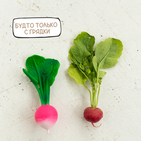 Прорезыватель грызунок OLI and CAROL Ramona The Radish из натурального каучука