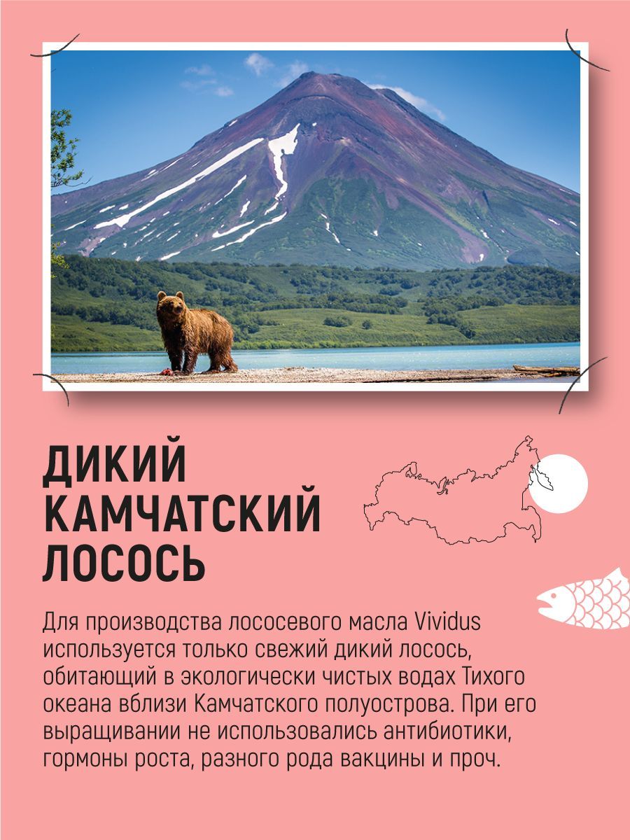 Масло дикого лосося Вивидус (VIVIDUS) с астаксантином 0,5 л. - фото 4