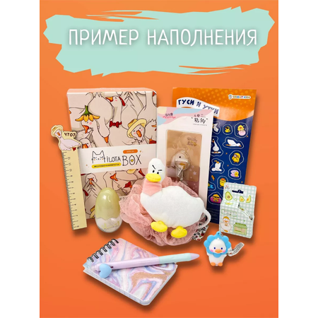 Подарочный бокс для девочки iLikeGift Milota Box mini гусь