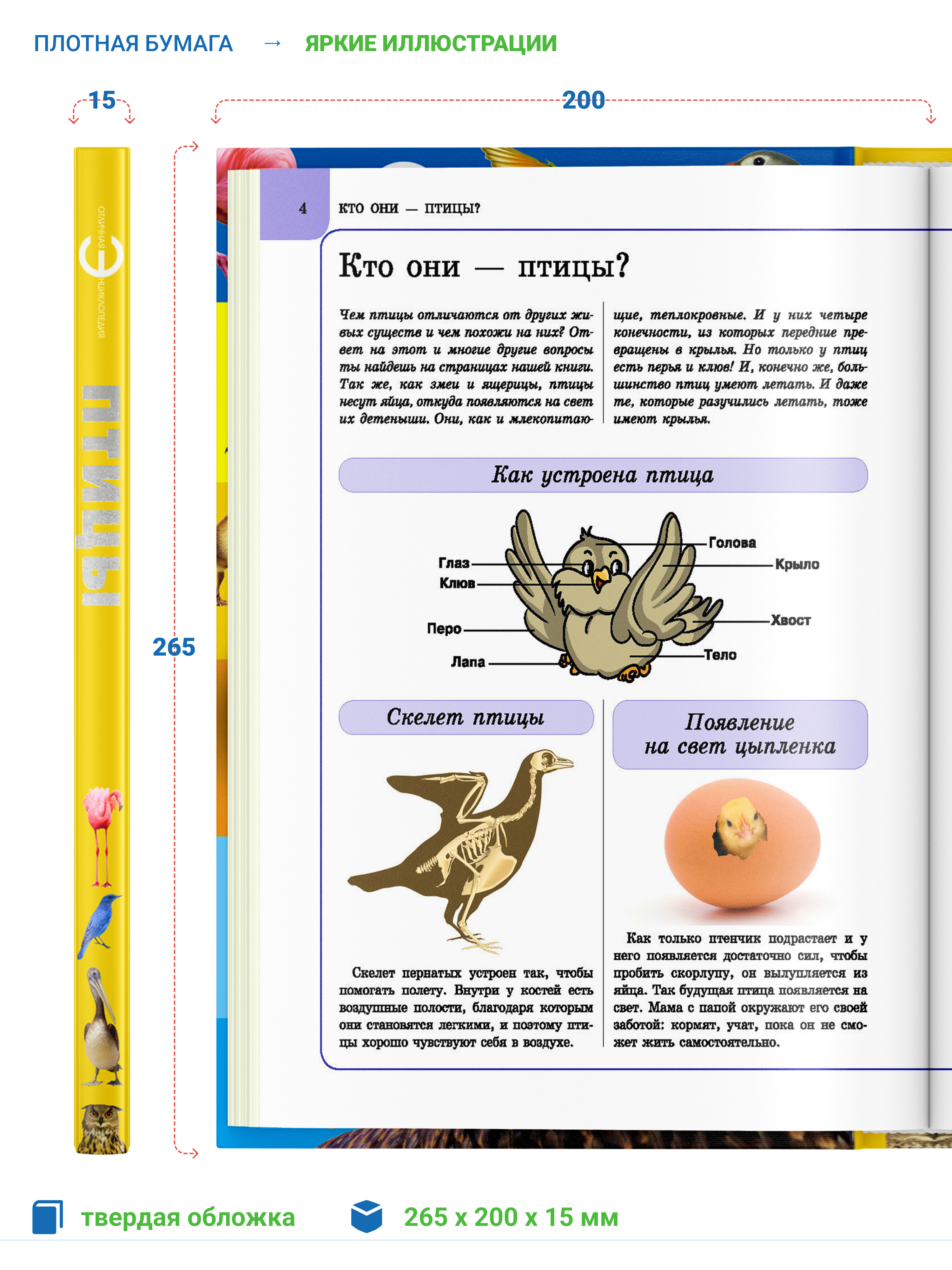 Книга Харвест Книга большая Энциклопедия для детей школьников Птицы для чтения с иллюстрациями - фото 2