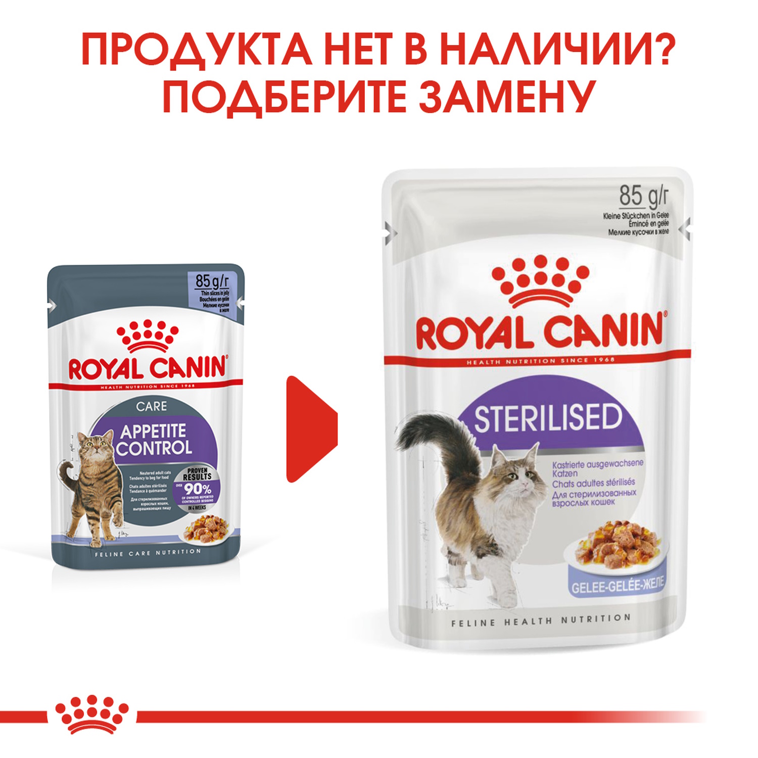 Корм для кошек ROYAL CANIN Appetite Control Care для контроля выпрашивания корма желе пауч 85г - фото 6