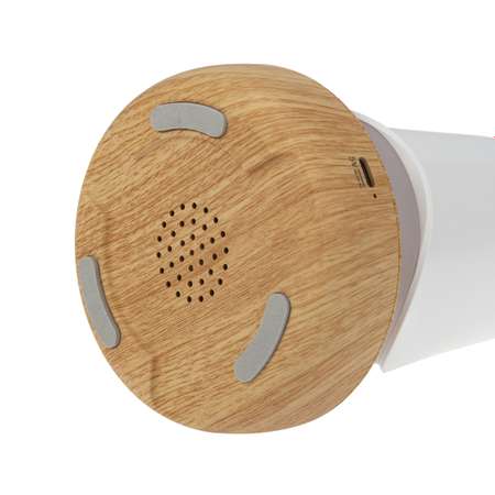 Светодиодный светильник-ночник NEON-NIGHT Тукан с Bluetooth