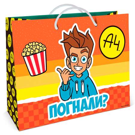 Пакет подарочный ND PLAY Влад А4 40*30см 313904