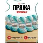 Пряжа YarnArt Ambiance полушерстяная 100 г 250 м 155 секционный 5 мотков