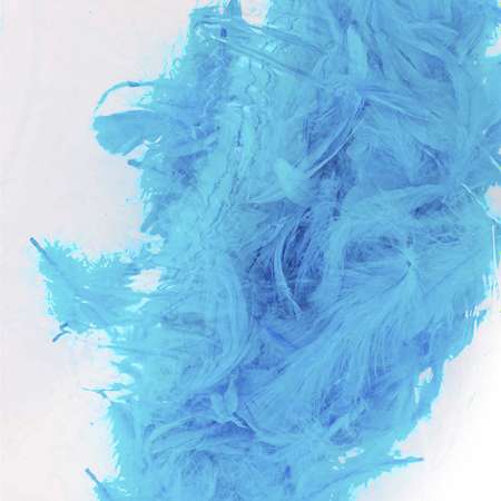 Детский надувной круг Solmax для плавания в форме сердца с перьями цвет голубой 90 см SM06990