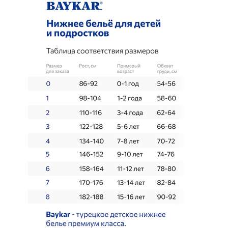 Комплект Baykar