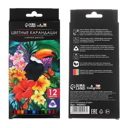 Карандаши Calligrata 12 цветов Soft заточенные трехгранные пластиковые картонная упаковка европодвес