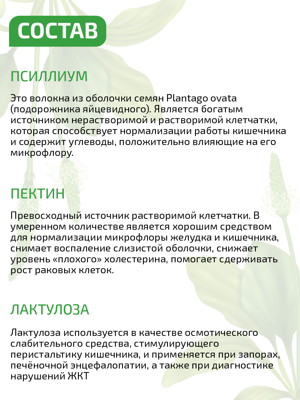 Псиллиум пектин детокс VIDAMIN EXTRA 60 прозрачных капсул купить по цене  838 ₽ в интернет-магазине Детский мир