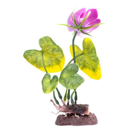 Растение PennPlax White Water Lily с грузом 22см Бело-Зеленое P3MH