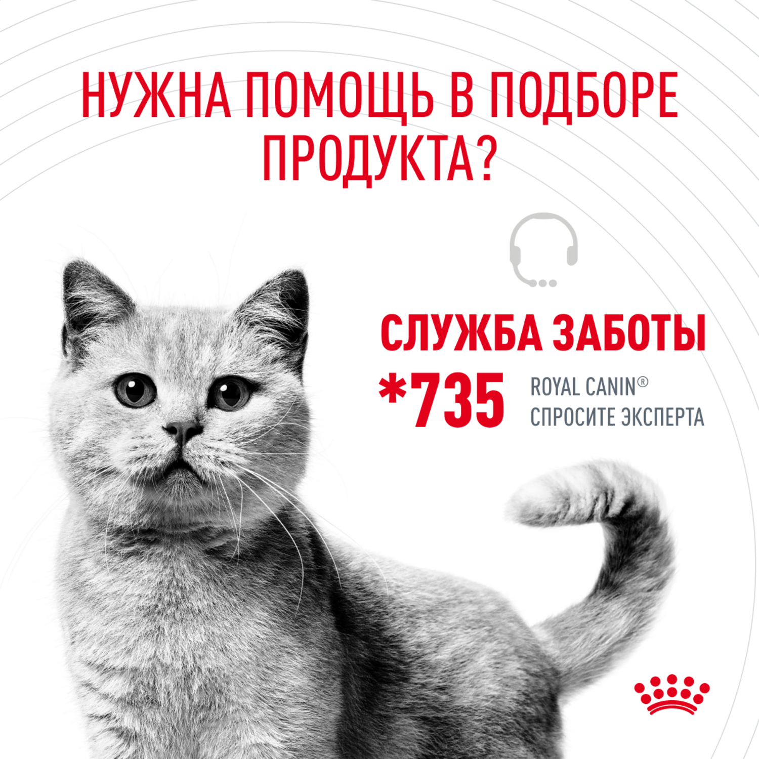 Корм для кошек ROYAL CANIN Light Weight Care для взрослых кошек в целях профилактики избыточного веса 1.5кг - фото 11