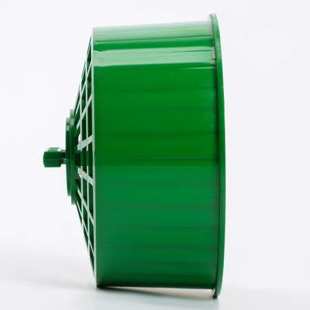 Колесо для грызунов Sima-Land пластиковое без подставки зелёное
