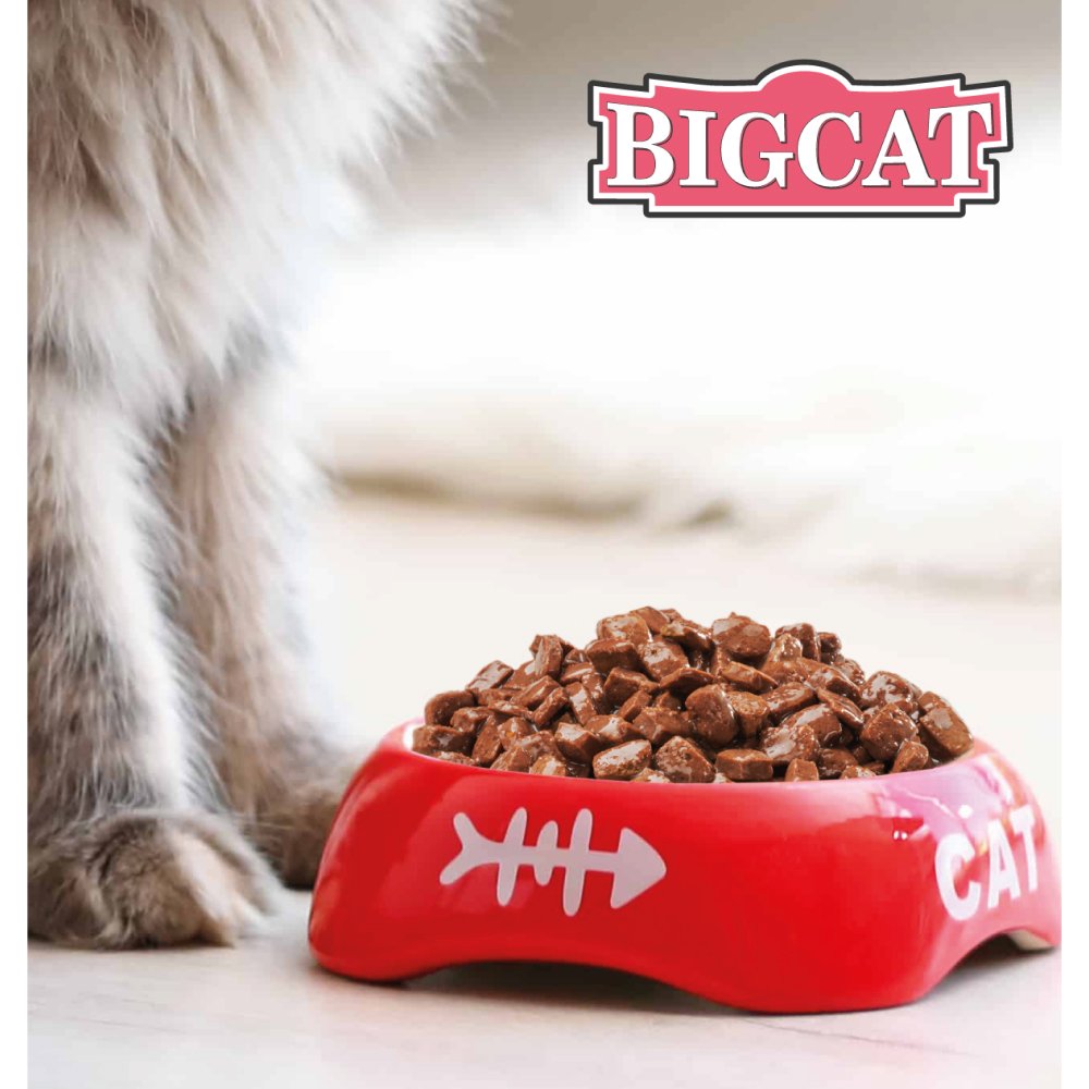 Корм влажный Зоогурман Big Cat Мясное ассорти Кусочки в желе жестяная банка 350 гр х 12 шт. - фото 4