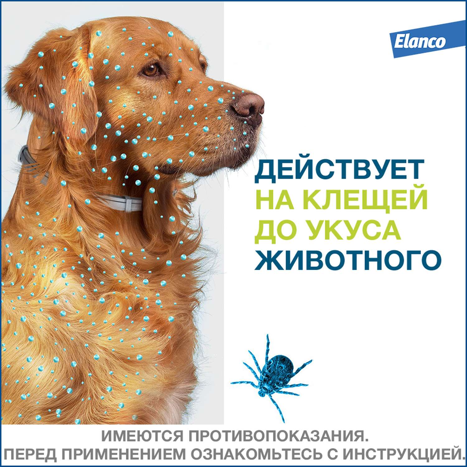 Ошейник для собак Elanco Foresto менее 8кг от блох и клещей защита 8месяцев 38см 65231 - фото 4