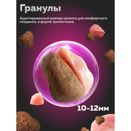 Корм сухой Зоогурман Big Cats Птица MIX 1,5 кг