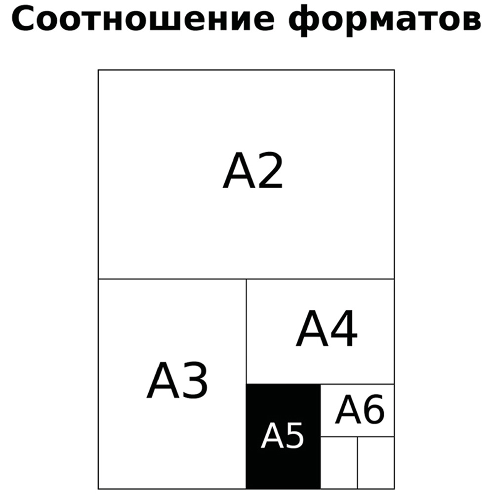 Набор тетрадей 4 шт BG клетка - фото 4