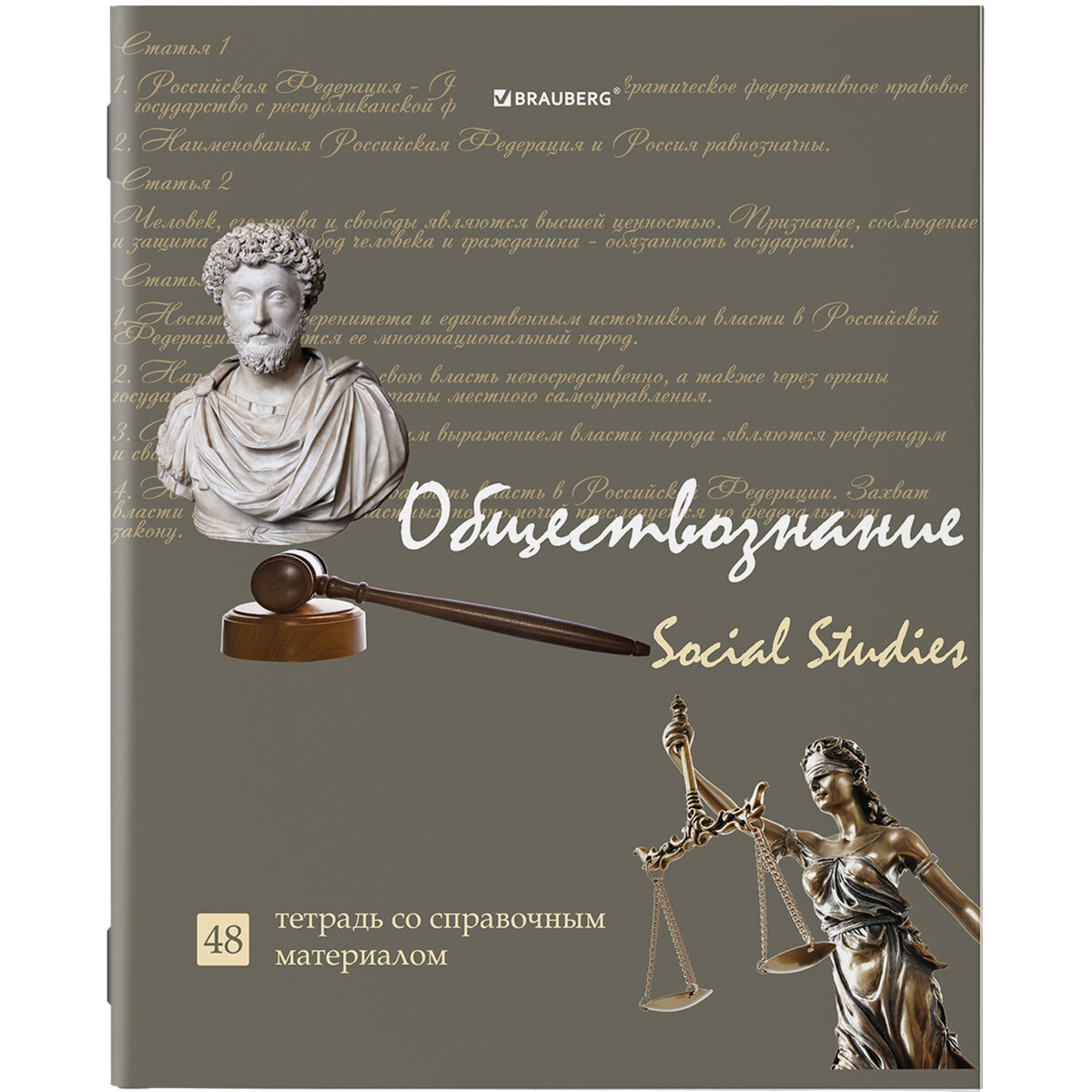 Тетради предметные Brauberg Status со справочным материалом в клетку/линейку 10 шт 48 л - фото 7