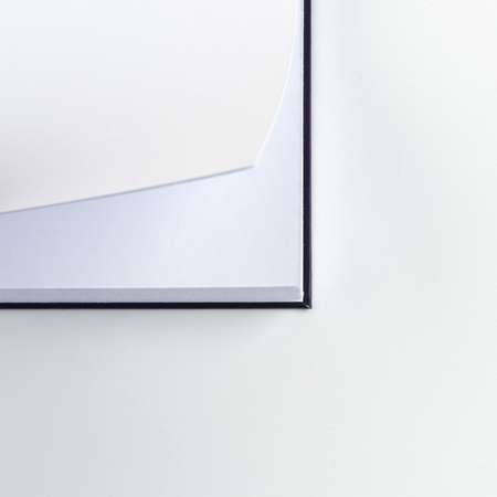 Скетчбук ARTLAVKA горизонтальный А5 80 листов 160 г/м2 Ван Гог