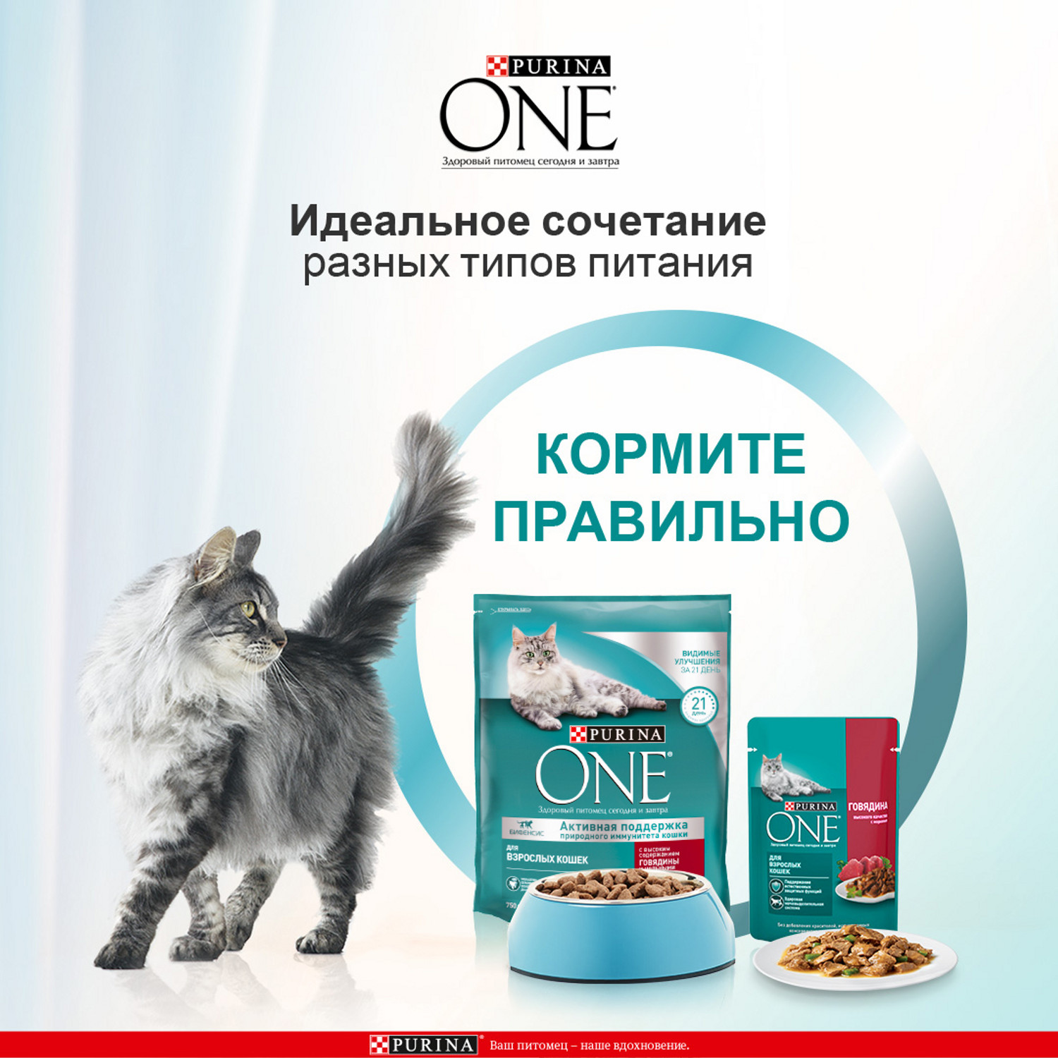 Сухой корм для кошек Purina One 0.75 кг говядина (полнорационный) - фото 5