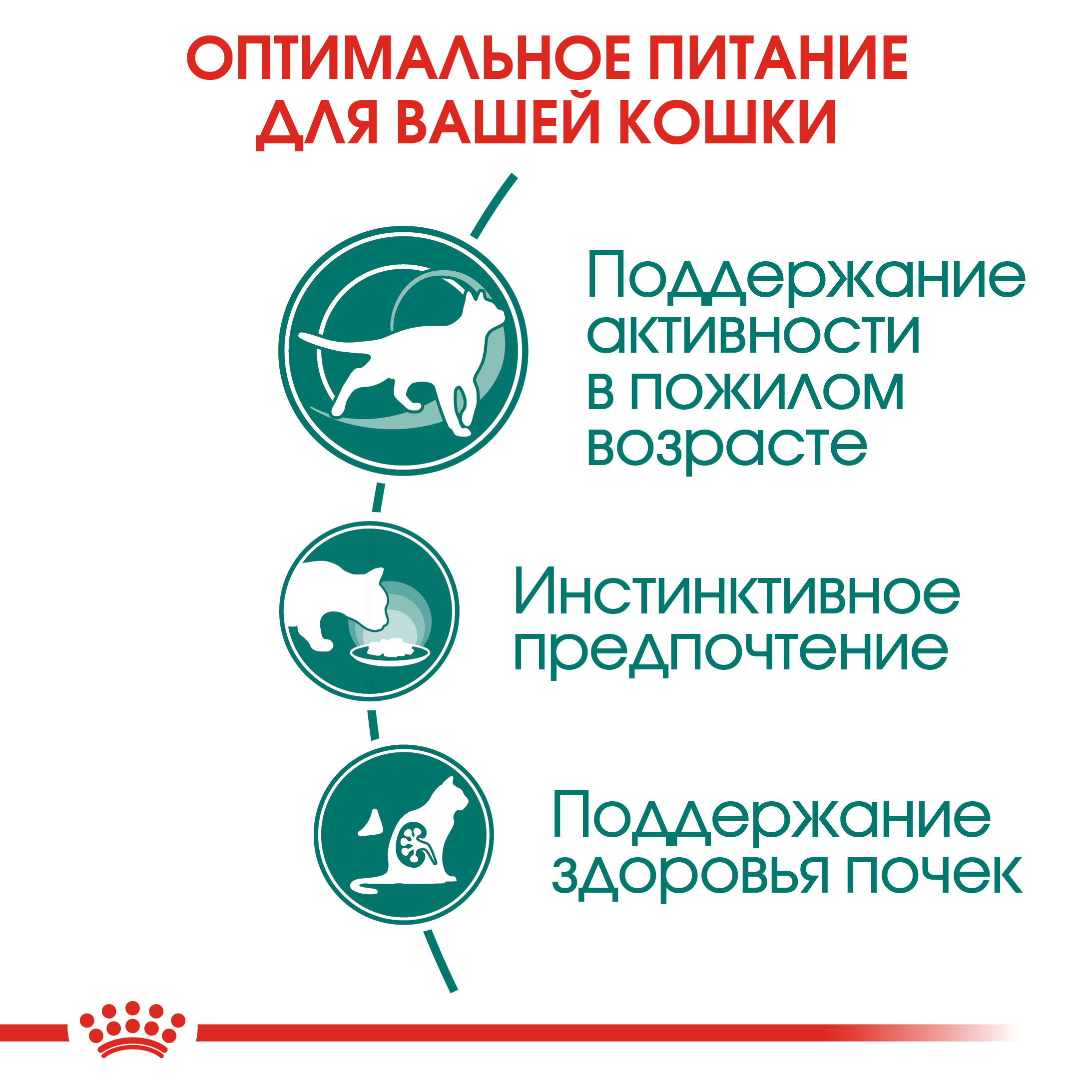 Влажный корм для кошек ROYAL CANIN 0.085 кг (полнорационный) - фото 6