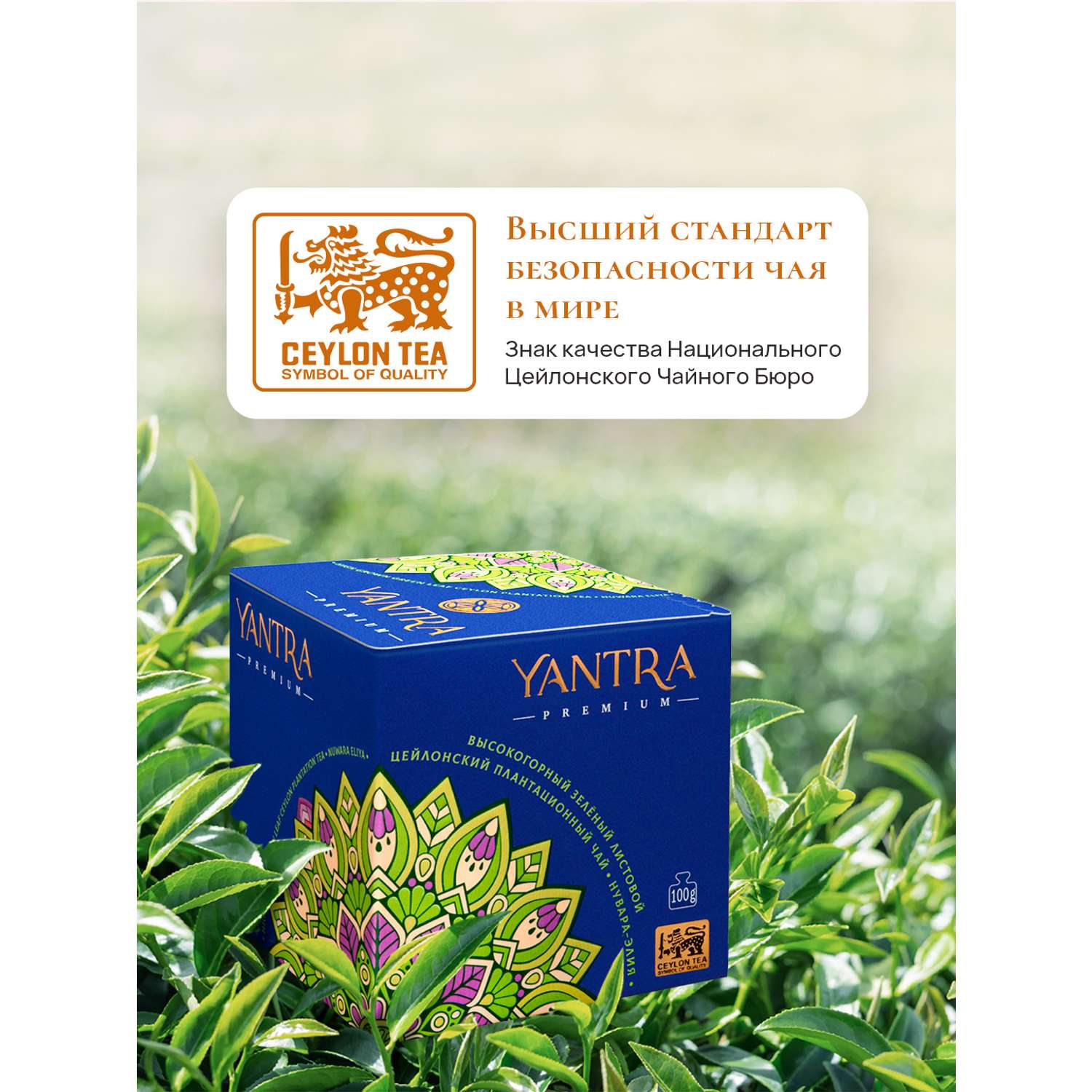 Чай Премиум Yantra зелёный листовой стандарт GP1 плантация Нувара-Элия 100 г - фото 2