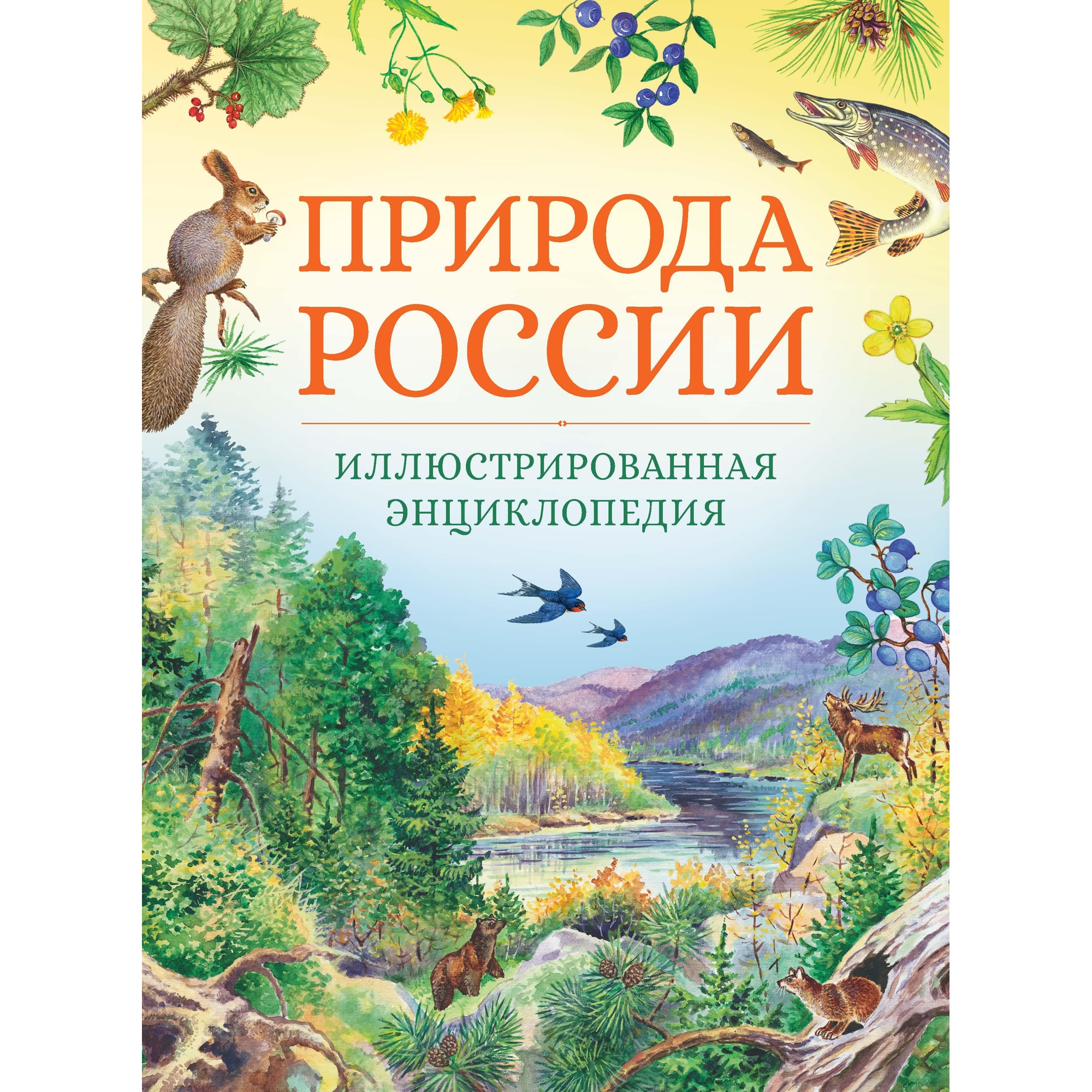 Книга Махаон Природа России. Иллюстрированная энциклопедия Свечников В. Романова Т - фото 1