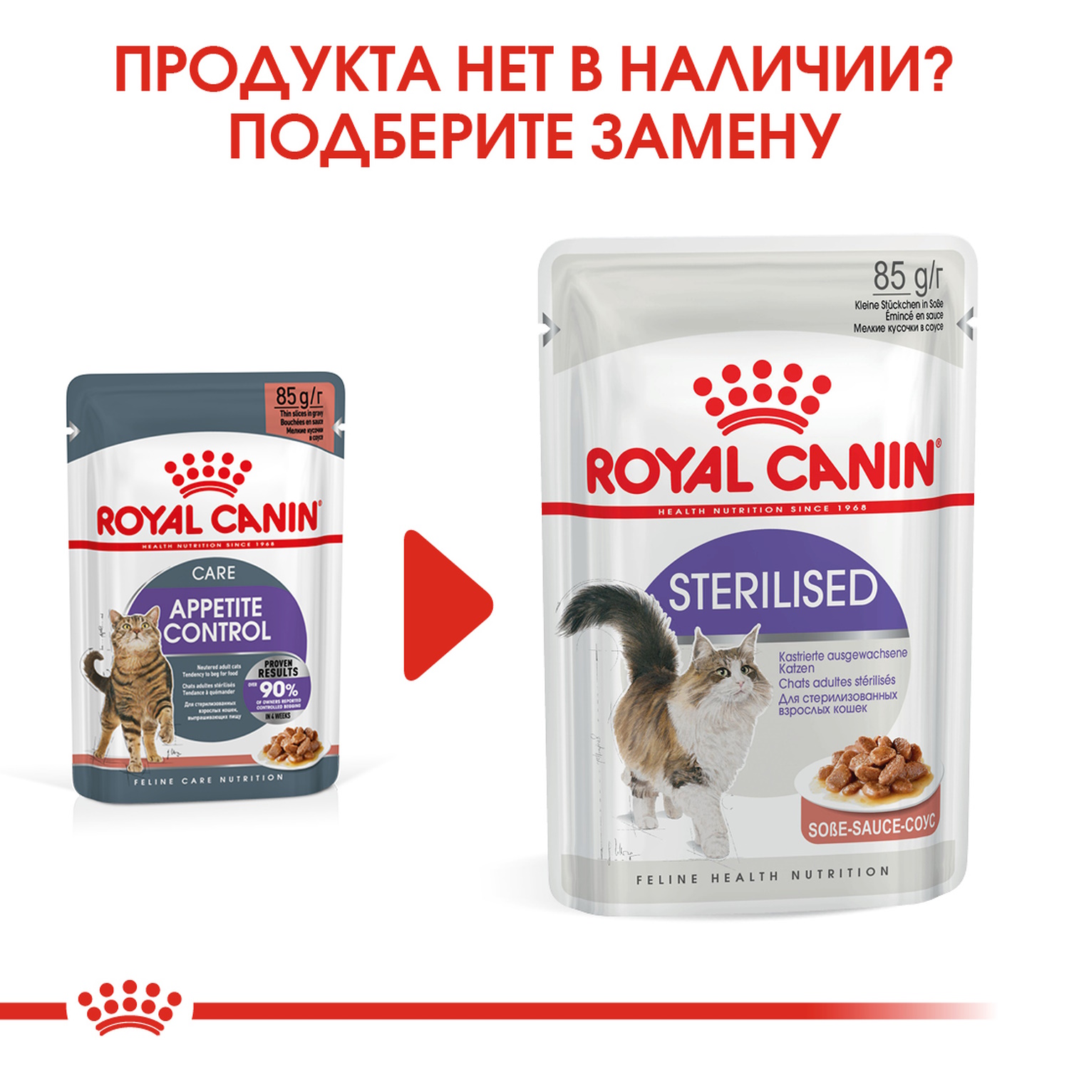 Корм для кошек ROYAL CANIN Appetite Control Care для контроля выпрашивания корма соус пауч 85г - фото 6