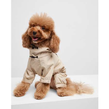 Одежда для собак - Купить в СПб с доставкой в интернет магазине 